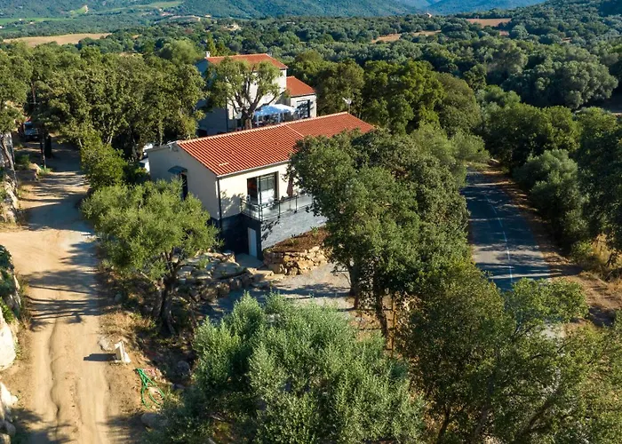 公寓 Casa Lea Sollacaro